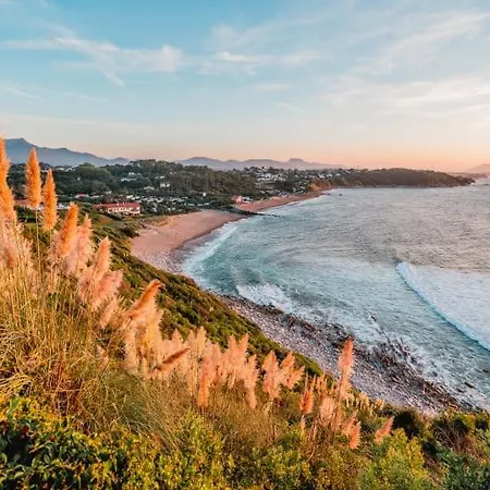 T2 Cozy Avec Jardin - Plages Et Apartment *