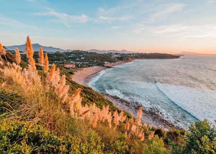T2 Cozy Avec Jardin - Plages Et Lägenhet *